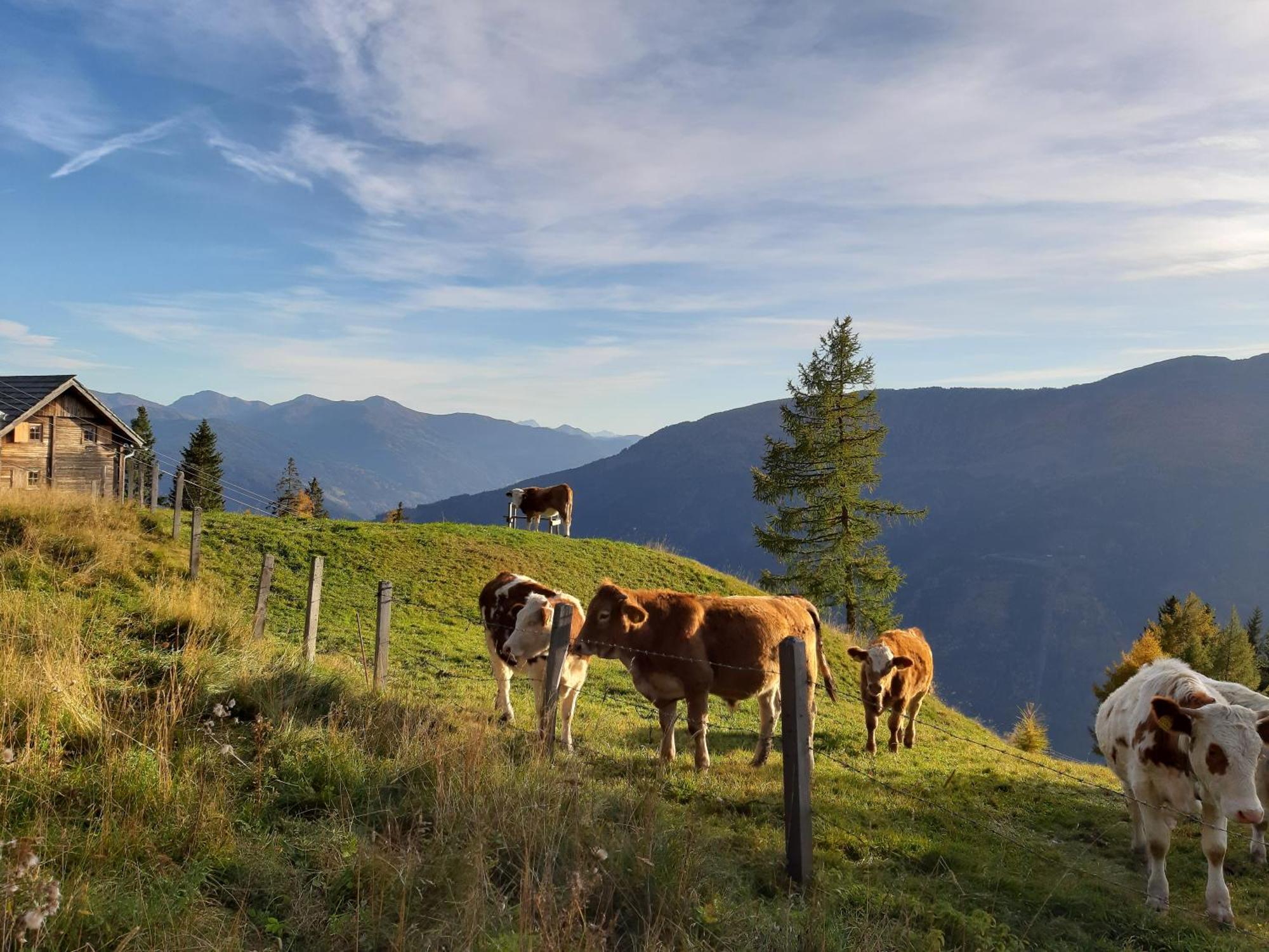 Panoramapension Platzer Unterkolbnitz Exteriér fotografie