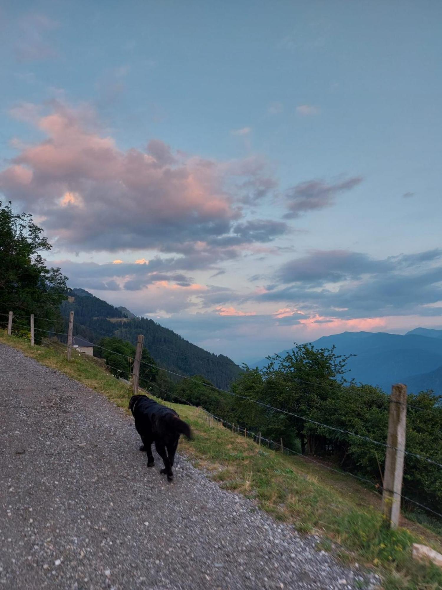 Panoramapension Platzer Unterkolbnitz Exteriér fotografie